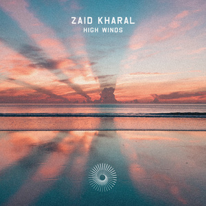 林芳兵的腋毛长啥样
