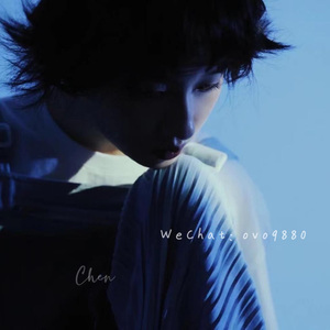 林芳兵的腋毛长啥样
