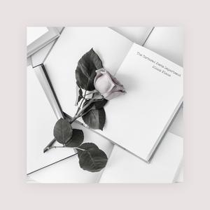 林芳兵的腋毛长啥样
